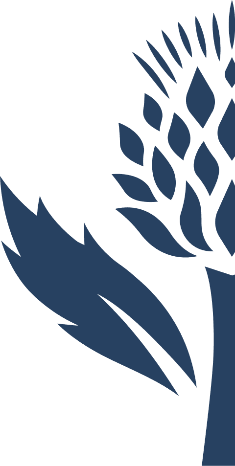 Footer Background